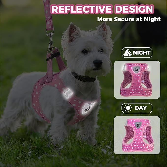 PAWCHIE Dog Harness and Leash Set, Step in No Pull Soft Pet Harness, Reflective Adjustable Puppy Vest for Small Medium Dogs Cats, No Choke Harness Vest with Poop Bag Holder for Walking,Running, Pink S