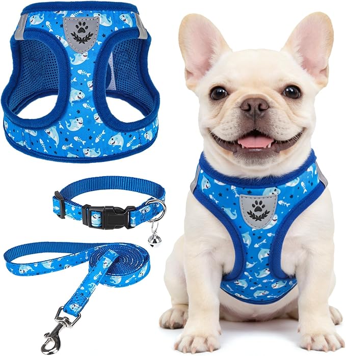 SCENEREAL Small Dog Harness and Leash Collar Set, Step in Soft Light Puppy Vest, Breathable Pet Harness for Small Sized Dogs, No Chock Reflective for Safe Outdoor Walking, Blue Shark M