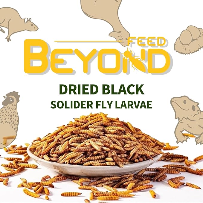 BeyondFeed™ Dried Black Soldier Fly Larvae - Nutrient-Rich, Sustainable Feed for Chickens, Ducks, Birds, Reptiles, Fish, Hamster, Turtles and More (1 Bottle (35g/ 1.23oz))