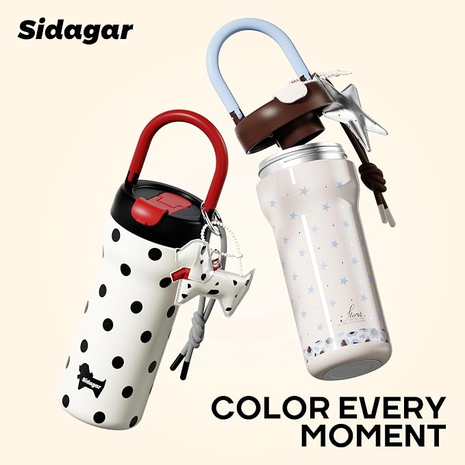 24 oz Insulated Tumbler Ceramic Stainless Steel Water Bottle, Leak Proof