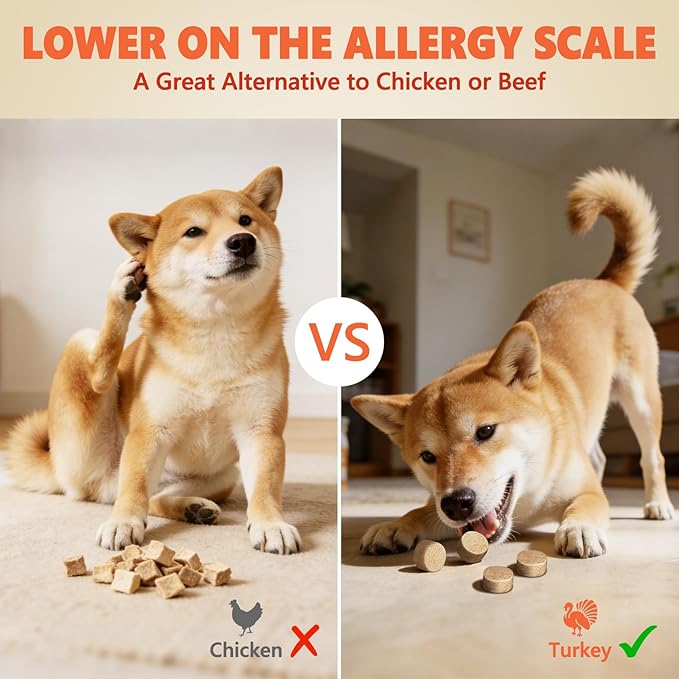 MAJOR PETS Freeze Dried Turkey Dog & Cat Treats, Quality High Protein, Hypoallergenic, Grain Free, Gluten Free, Human-Grade, Made in the USA, Easy to Digest for Training & Meal Topper, 2.5oz