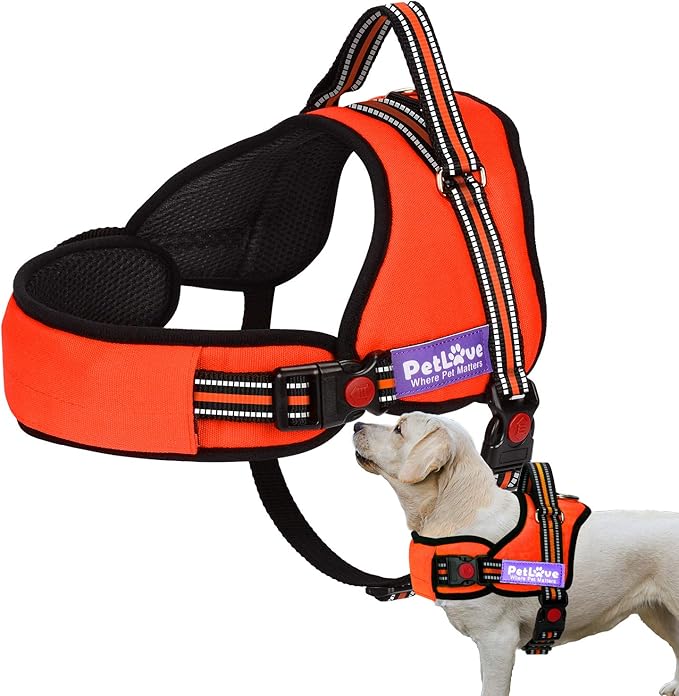 PetLove Dog Harness, Adjustable Soft Leash Padded No Pull Dog Harness for Small Medium Large Dogs, Orange