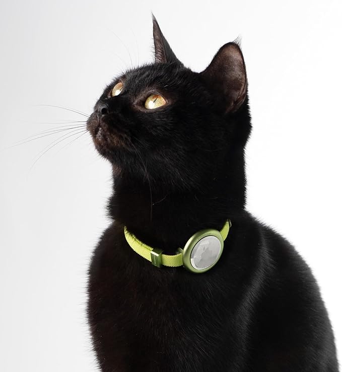 Safety Cat Collar Pro - U.S. IDA Gold Awarding Design, Elastic Quick Release Cat Collar with Buckle Non Breakaway - Lightweight for Kitten All Small Large Cats (Vivid Red, M 7.9-15.7")