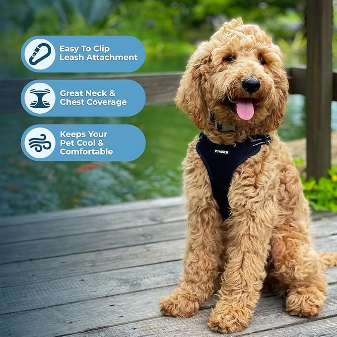 Best Pet Supplies Voyager Adjustable Step-in Flex Breathable Mesh Dog Harness for Small Medium Large Dogs (Black), M