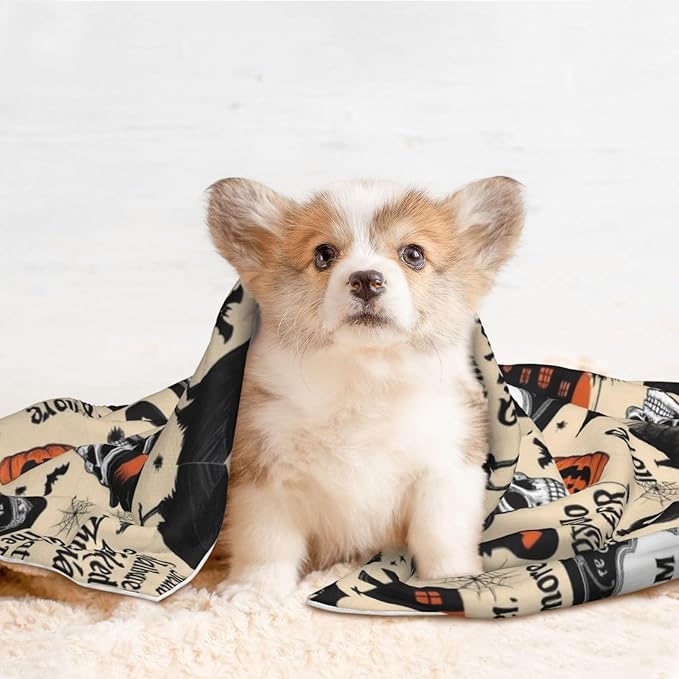 Reversible Plush Dot Pet Blanket, Halloween Witchcraft Witch Pumpkin Spider Web Bat Raven Magic Board Spirit Skull Skeleton Vintage Black, Ultra Soft Two Sided Throw for Dogs Cats Home Use Comfort