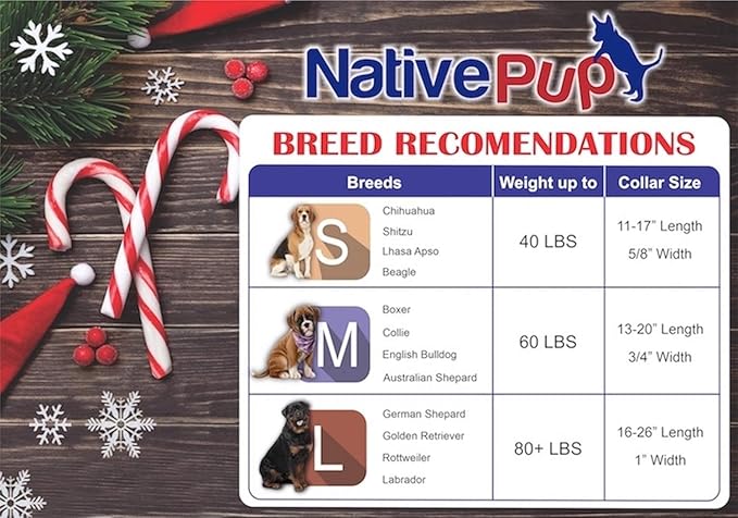 Native Pup Christmas Dog Collar- Winter Holiday Collars for Pets- Xmas Gift for Puppy- Santa, Reindeer, Snowman, Candy Cane, Red Green- Girl Boy- Small, Medium, Large Breeds (Snowman, Small)