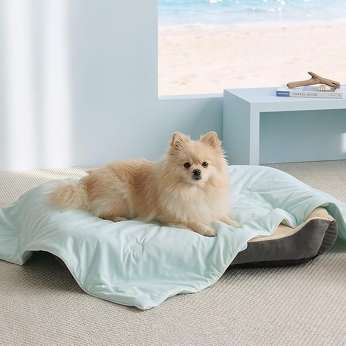 Soulbond Cooling Blanket for Medium Dogs - Q-MAX>0.45, Washable Cool Pet Cats Throw Blanket for Hot Weather, Self-Cooling Soft Dog Mat for Bed Crates Couch Sofa Cars(29"x40", Aqua Green)