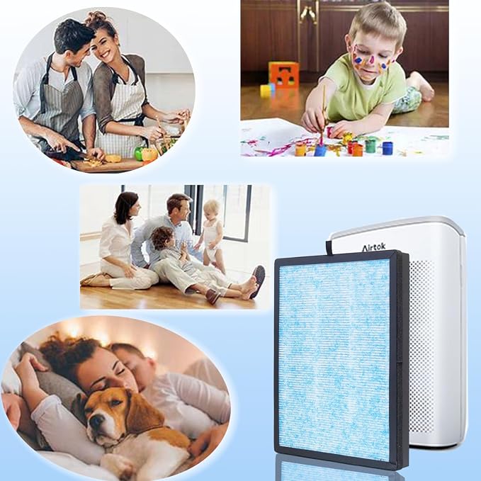 AP1002 H13 True HEPA Replacement Filter, Compatible