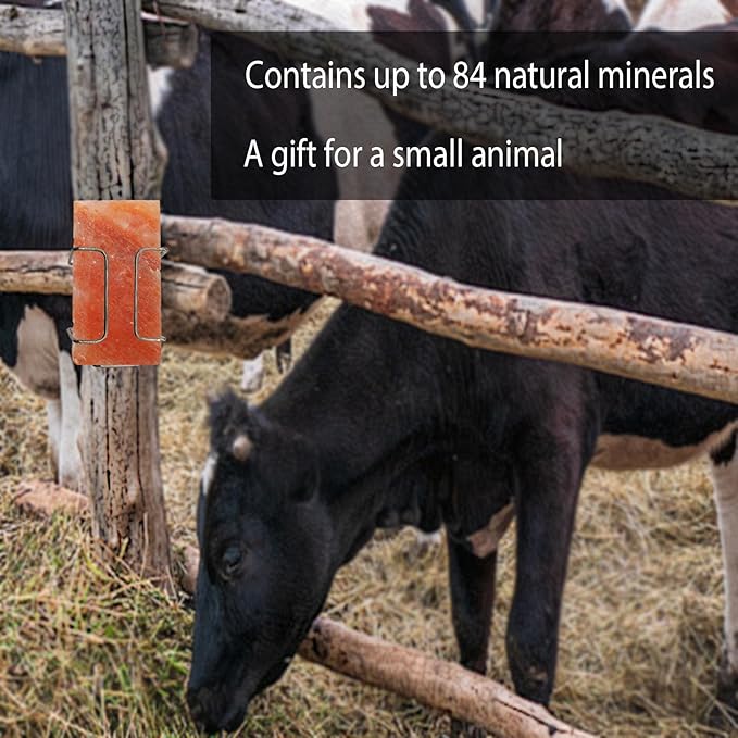kathson Himalayan Salt Block for Horses,8x4x1 Inches Deer Salt Lick Brick Animal Salt Rock with Natural Vital Minerals for Deer Cattle Sheep Goats Livestock (1 Pcs)