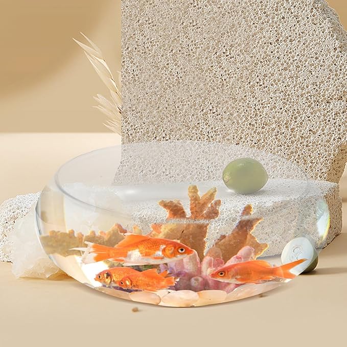 Happyyami Glass Fish Bowl Flower Glass Vase Bowl Clear Wide Mouth Round Vase Terrarium Air Plant Hydroponic Succulent Planter Floral Container Vase for Home Office Wedding L