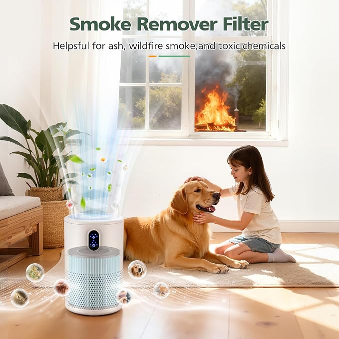 B-D02L/M05 Smoke Remover Replacement Filter, Compatible