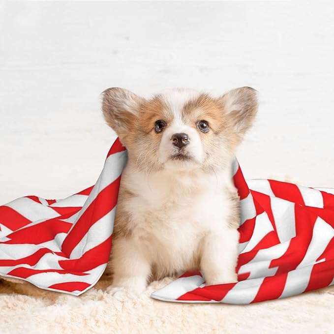 Two Sided Pet Cuddler Blanket for Anxiety Calming, Red White Stripes Christmas Candy Cane, Reversible Plush Design with Bubble Dot Pattern Provides Familiar Surface Anywhere