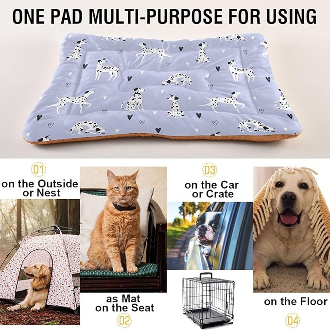 Pet Bed Funny Cartoon Dalmatian Dogs Dog Bed Mat Absorbing Non Slip Pad Pet Sleeping Mat for Small, Medium, and Large Dogs Puppy Cat 36 in x 24 in