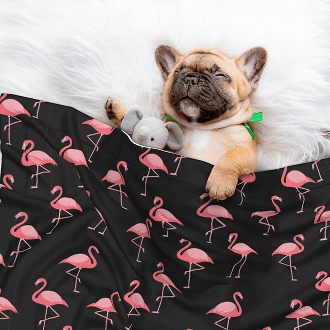 Two Sided Plush Pet Blanket for Crates Carriers Home Use, Pink Flamingo, Reversible Throw with Cozy Dot Fabric and Silky Reverse for Small Large Pets