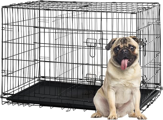 Small Dog Crate for Puppy, 24 Inch Metal Wire Pet Dog Cage for Small Animals Rabbit Indoor Outdoor Foldable Metal Dog Kennel with Divider Panel, Leak-Proof Plastic Pan
