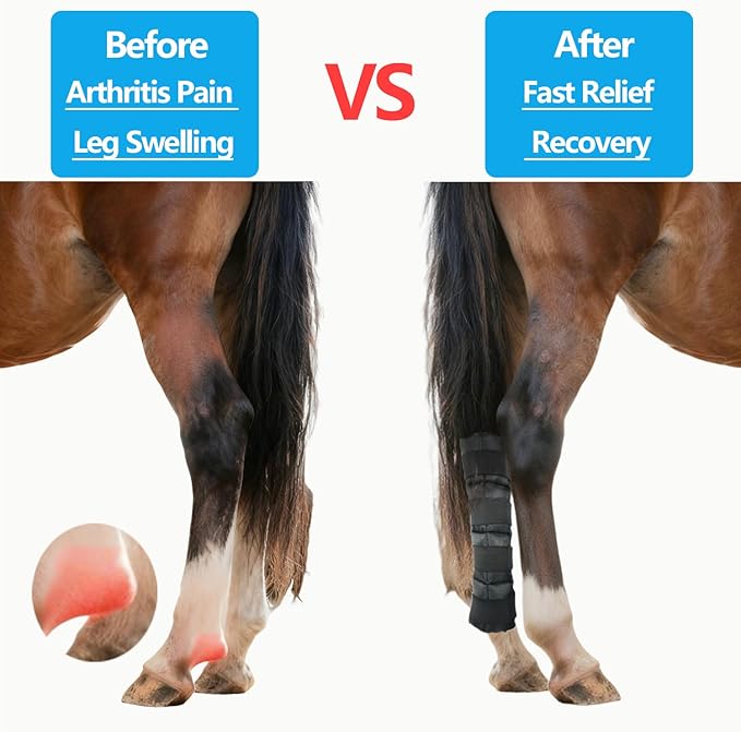 Horse Ice Boots (2-Pack) - Gel Cold & Hot Therapy Wrap for Horse Leg Injuries & Arthritis - Reusable Horse Ice Pack Leg Wraps with 4 Adjustable Straps for Knee, Hock, Tendon - Horse Supplies & Tack