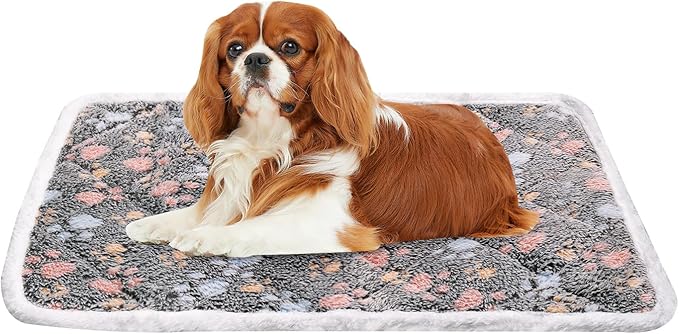Dog Crate Mat, Soft Reversible Pet Bed Pad with Short Plush, 45x60cm, 2cm Thick, Machine Washable Mat for Small Dogs and Cats, Fits 60cm Crates