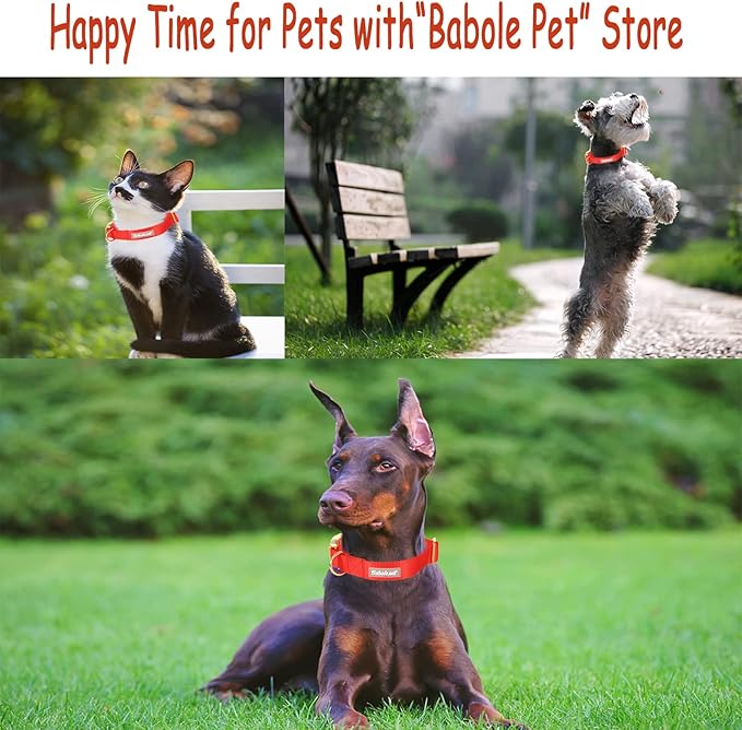 Nylon Dog Collar - Adjustable Red Soft Webbing Dog Collars for Small Medium Large Dogs Boy Girl Puppy Collar with Safety Metal Buckle S