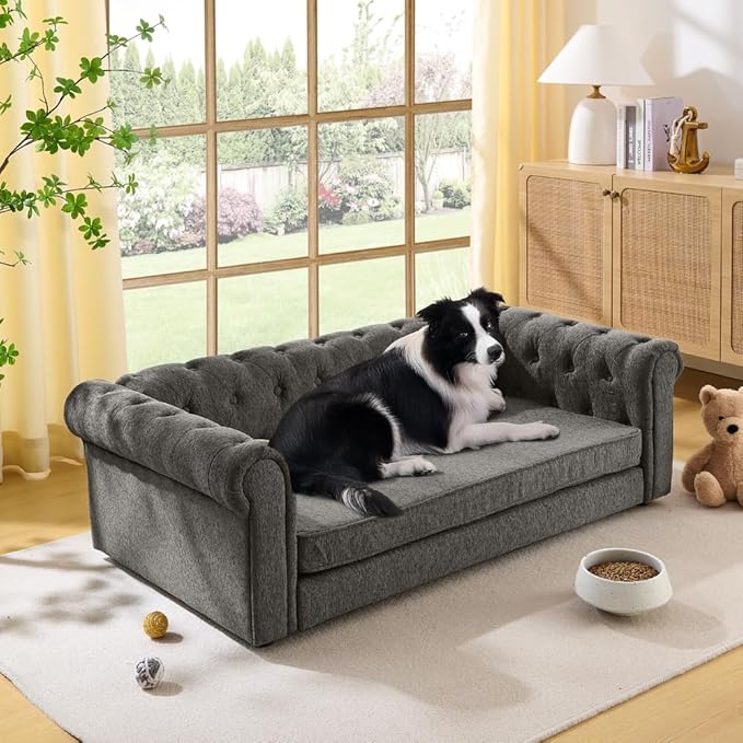 Elevated XL Large Dog Sofa with Backrest and Armrests, 55" Button Tufted Dog Couch Bed with Soft Cushion for Large Dogs, Stylish Lounging Bed Pet Couch Chair, 120Lbs Weight Capacity, Dark Gray
