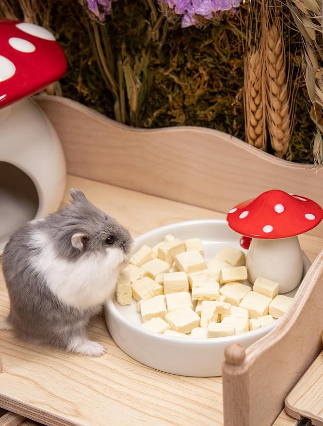 Niteangel Hamster Feeding & Water Bowls- Mushroom Ceramics Series Food Dish Feeding Bowls for Dwarf Syrian Hamsters Gerbils Mice Rats or Other Similar-Sized Small Pets (Feeding Bowl)