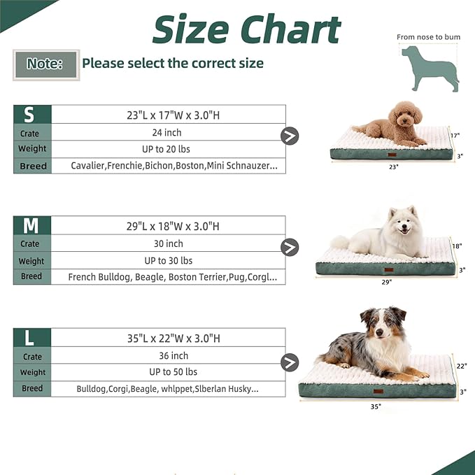 Orthopedic Dog Bed with Firm High-Density Egg Crate Foam, Machine Washable Cover & Non-Slip Bottom for Medium Breeds (Green, 29" L x 18" W x 3" H)