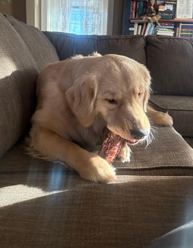 Bully Bunches 6 Inch Beef Trachea Wrapped in Jerky Dog Chews - Long Lasting Natural Dog Treats for Small & Medium Dogs, High Protein Crunchy Chew with Natural Collagen & Joint Support - 8 Pack