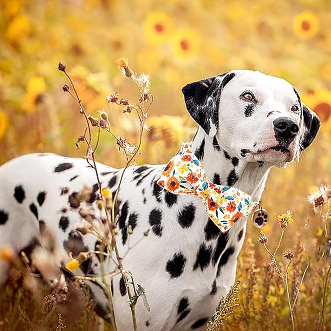 Lionheart glory Dog Collar Bow Collar Floral Dog Collar with Bow Tie Spring Summer Cute Collar Dog Boy or Girl Dog Collars Soft Durable Adjustable Dog Collars for Large Dogs