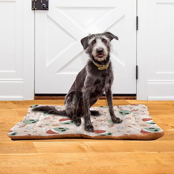 Pet Bed Retro Christmas Alien Dog Bed Mat Absorbing Non Slip Pad Pet Sleeping Mat for Small, Medium, and Large Dogs Puppy Cat 36 in x 24 in