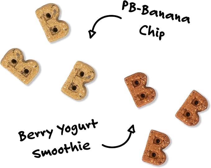 Bocce's Bakery PB Banana Chip + Berry Smoothie Dog Treat Bundle – Natural, Wheat-Free Soft & Chewy Cookies Made with Real Ingredients and Baked in The USA – 2 Pack Bundle