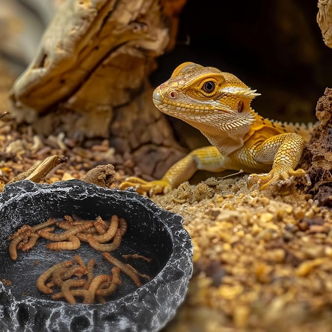 Reptile Water Dish Food Bowl for Bearded Dragon Tank Accessories, Reptile Rock Feeder for Tank 2 Pack Corner Resin Terrarium Bowl for Leopard Gecko Hermit Crab Tortoise Snake, Black