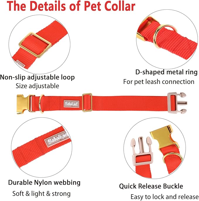 Nylon Dog Collar - Adjustable Red Soft Webbing Dog Collars for Small Medium Large Dogs Boy Girl Puppy Collar with Safety Metal Buckle XS