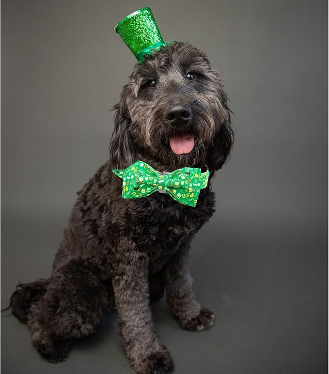 Lionheart glory Dog Bow Collar St. Patrick's Day Dog Collar for Small Dogs, Adjustable Green Collars Lucky Clover Shamrock Dog Collar with Bowtie Pet Collar Bows