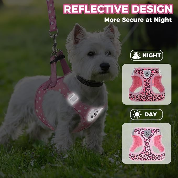 PAWCHIE Dog Harness and Leash Set,Step in No Pull Soft Pet Harness, Reflective Adjustable Puppy Vest for Small Medium Dogs Cats,No Choke Harness Vest with Poop Bag Holder for Walking,Running,Leopard S