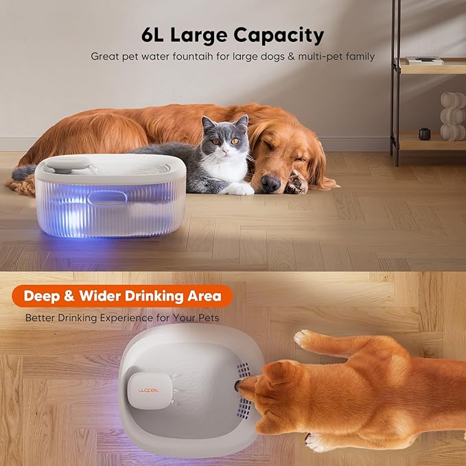 WOPET Dog Water Fountain for Large Dogs, 6L/205oz/1.7Gal Dog Water Bowl Dispenser, Automatic Cat and Pet Water Fountain with 2 Filters&Visual Water Level for Large Medium Small Breed Dogs Pets