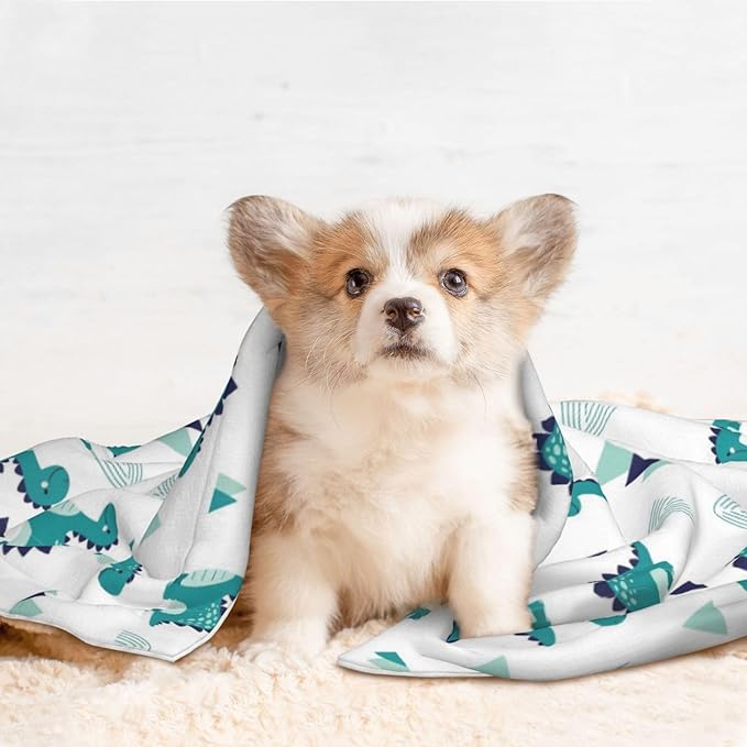 Pet Blanket for Couches and Beds, Funny Dinosaur Green, Reversible Double Sided Plush Design with Soft Bumpy Texture and Smooth Surface, Furniture Protector