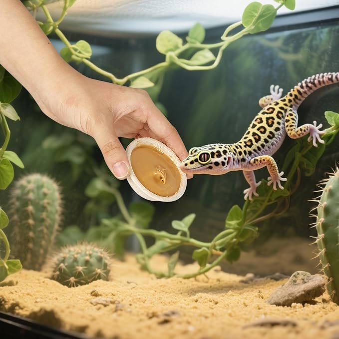 Paper Gecko Feeding Cups, Paper Bowls Reptiles Food and Water Feeder Ledge Cups for Lizars,Bearded Dragon,Snake,Crabs, 100Pack 1 OZ