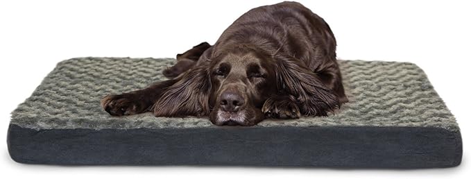 Furhaven Memory Foam Dog Bed for Medium/Small Dogs w/ Removable Washable Cover, For Dogs Up to 35 lbs - Ultra Plush Faux Fur & Suede Mattress - Cream, Medium