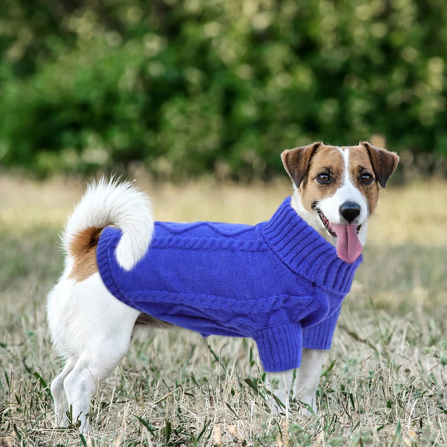 Queenmore Small Dog Pullover Sweater, Cold Weather Cable Knitwear, Classic Turtleneck Thick Warm Clothes for Chihuahua, Bulldog, Dachshund, Pug (Royal Blue, Small)