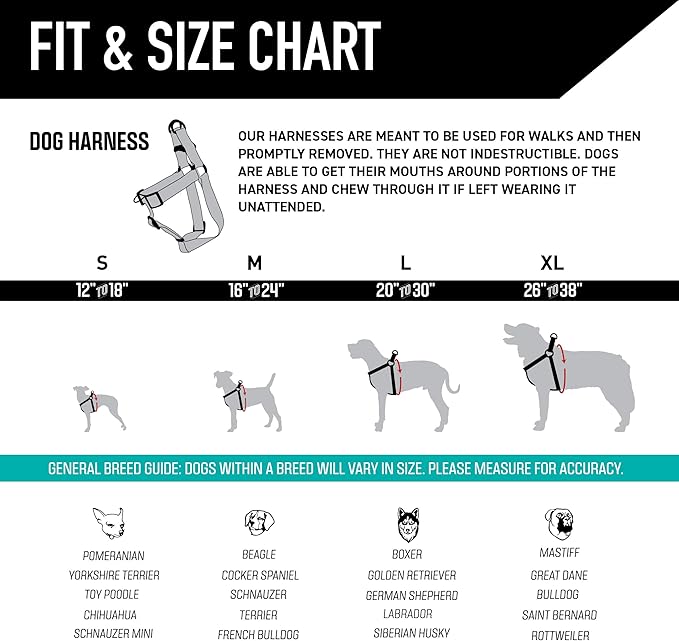 Wolfgang Heavy Duty Adjustable Dog Harness, Pull-Tested to Over 800 lbs for Walking & Training, LostArt Print, Medium