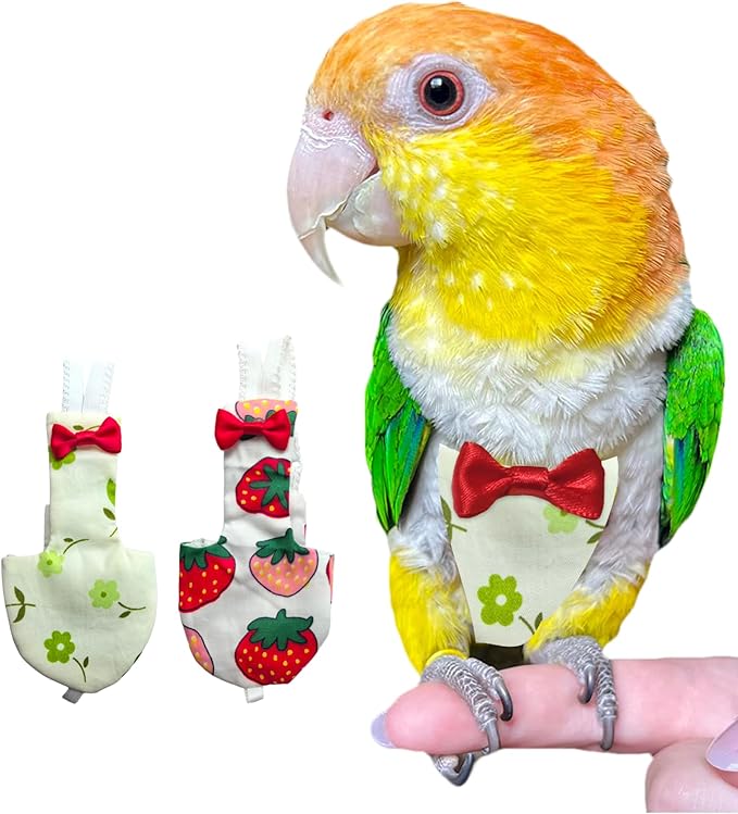 UKJENT Bird Diaper with 78 Inch Flying Leash - 2 Pack, Reusable Flight Suit with Waterproof Inner Layer, Washable Cute Urine Wet Suit for Cockatiel Monk Parakeet Sun Parakeet Lory(S)