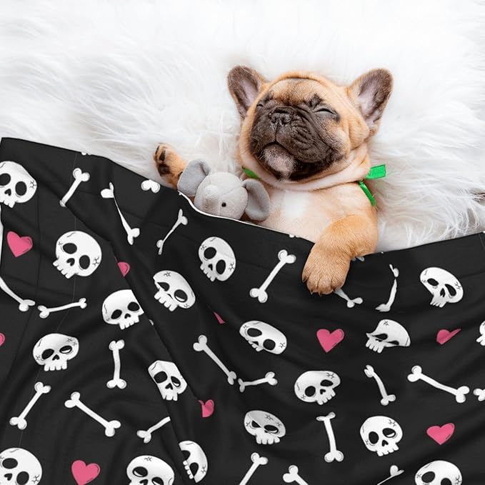 Reversible Plush Dot Pet Blanket for Dogs and Cats, Cartoon Skulls with Hearts On Black, Ultra Soft Two Sided Design with Warm Fuzzy Side and Smooth Side for Comfort