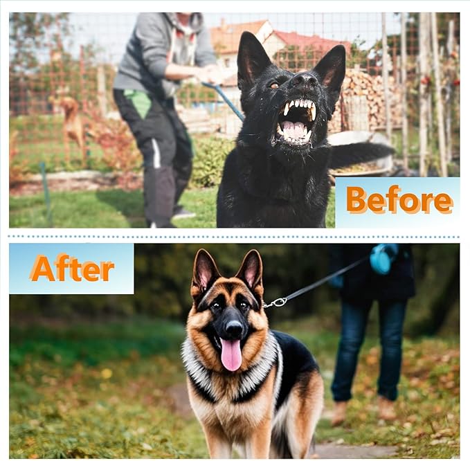 Dog Prong Collar - Stainless Steel Pinch Collar for Large Dogs Training, Adjustable Choker Chain Collar, Durable Dog Training Collar for Medium/Large Breed Obedience (2.3mm, Neck Size 17"-19")