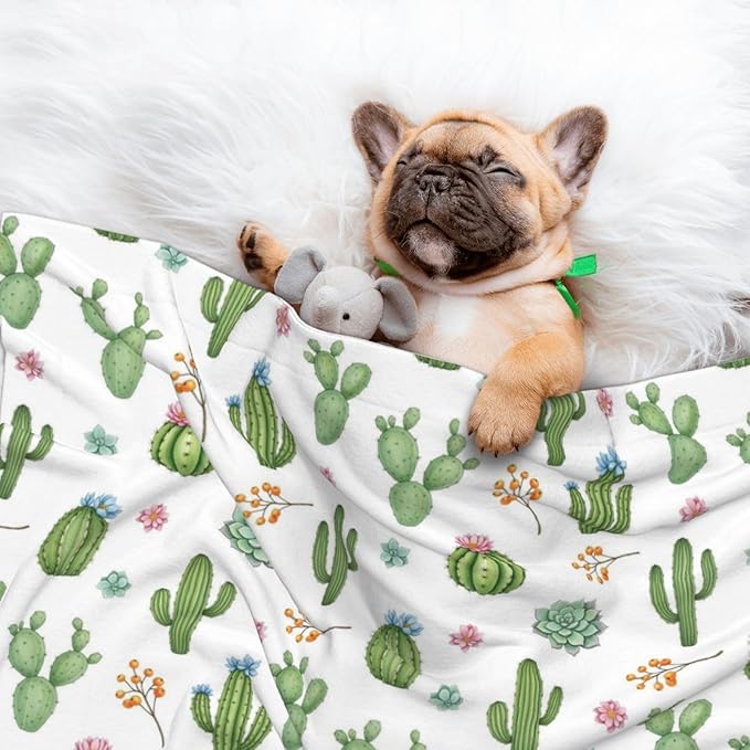 Pet Blanket for Car Rides Vet Visits, Watercolor Elements Succulent Plants Cactus, Two Sided Reversible Plush Design with Bumpy Dot Side Offers Comfort Home Piece On Go Travel