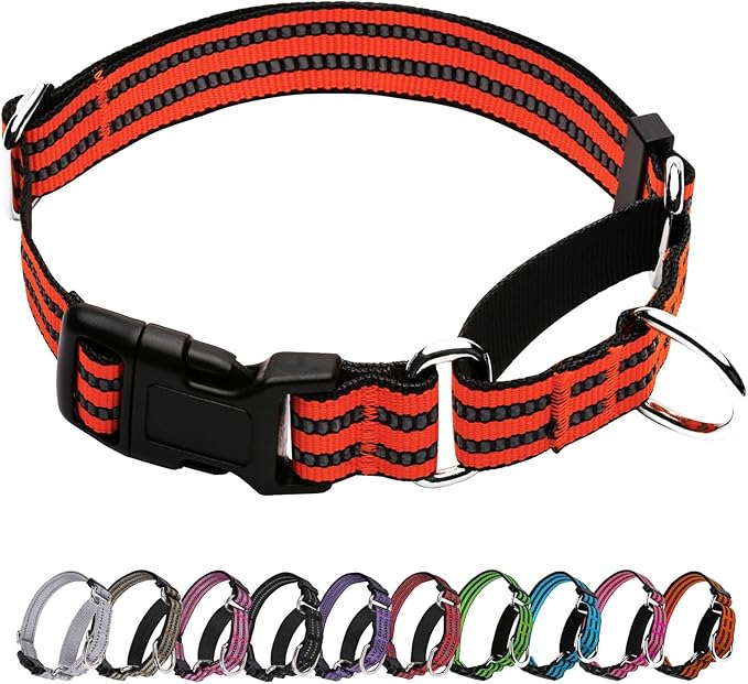 Martingale Dog Collar, Adjustable Nylon Reflective Collar with Quick Release Buckle (Bright Orange, Large)