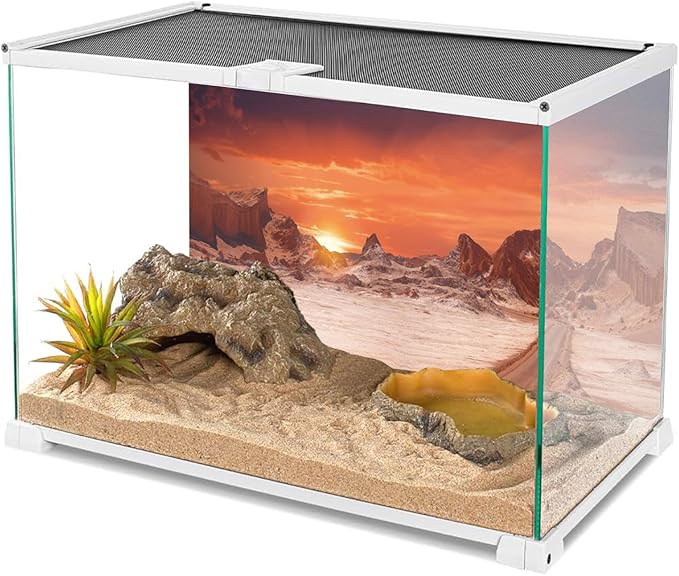 AWERT 24x16 inches Sun and Desert Terrarium Background Orange Reptile Habitat Background Durable Polyester Background