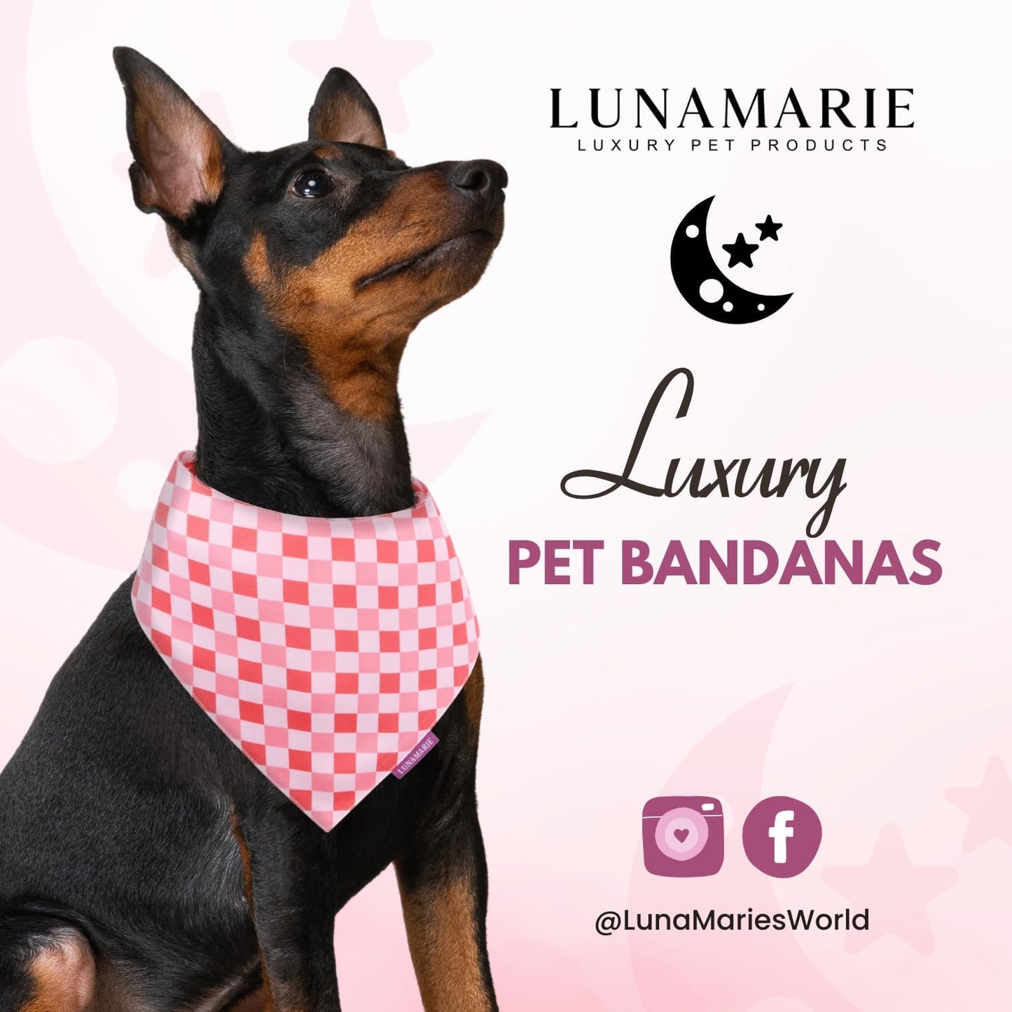 LunaMarie - Luxury Pet Birthday Bandanas -Premium & Silky Poly Fabric | 100% Handmade | Custom Shape Dual Layered (Rebel, Small)