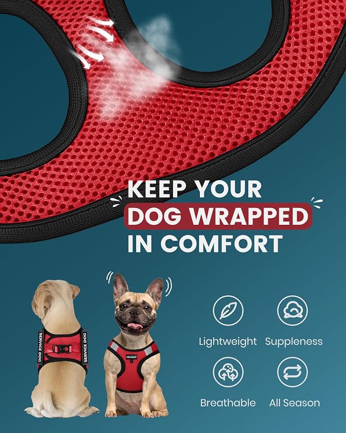FAYOGOO Service Dog Vest for Small Dogs - Lightweight Dog Harness with 6PCS Removable Patches - Puppy Harness and Leash Set for Walking,Training