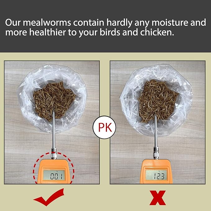 Non-GMO Dried Mealworms,11LB 100% Natural Large Size No Moisture,Treats for Birds Chickens Hedgehog Hamster Fish Reptile Turtles