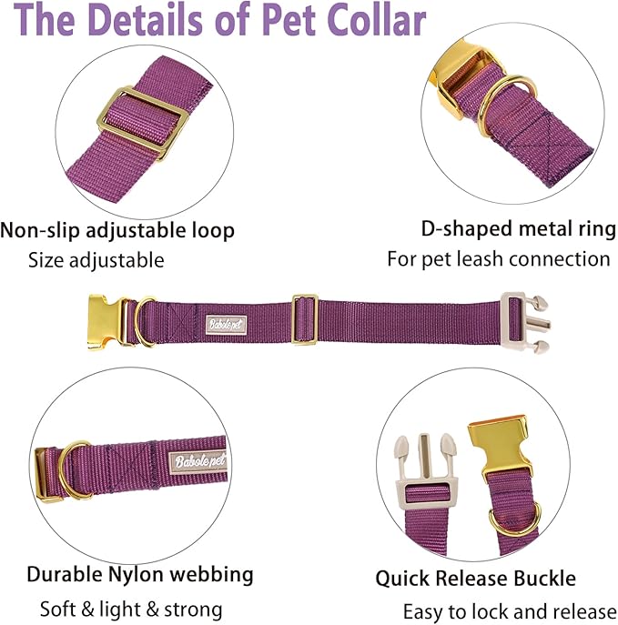 Nylon Dog Collar - Adjustable Deep Purple Soft Webbing Dog Collars for Small Medium Large Dogs Boy Girl Puppy Collar with Safety Metal Buckle M