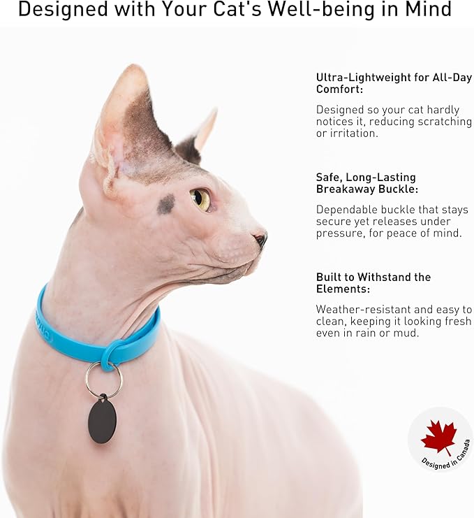 Breakaway Cat Collar - Soft, Comfortable, and Lightweight Safety Buckle Collar with ID Tag Ring for Outdoor Cats and Sensitive Skin Kittens by Nuvuq (6 ⅞" to 10 ¼", Blue)